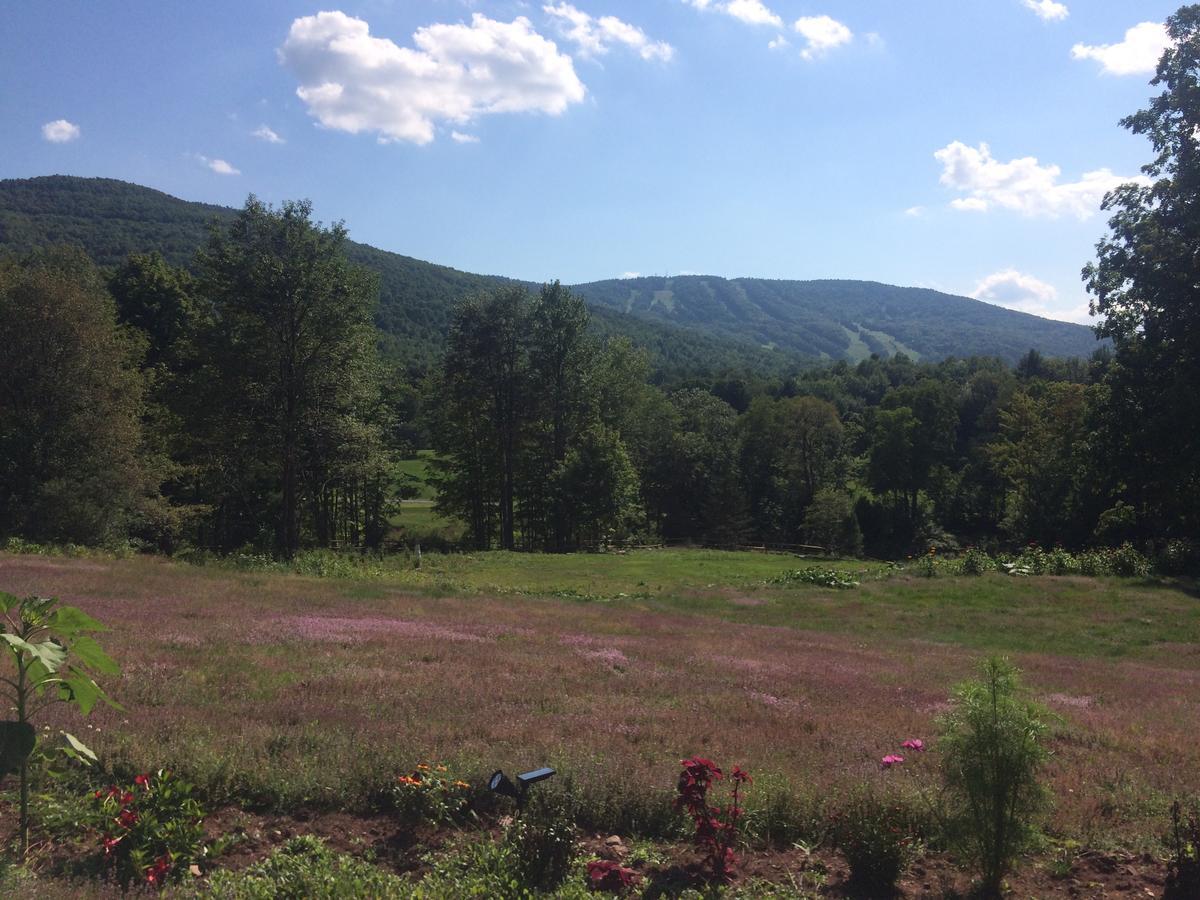 Georgian Garden Ξενοδοχείο Windham Εξωτερικό φωτογραφία