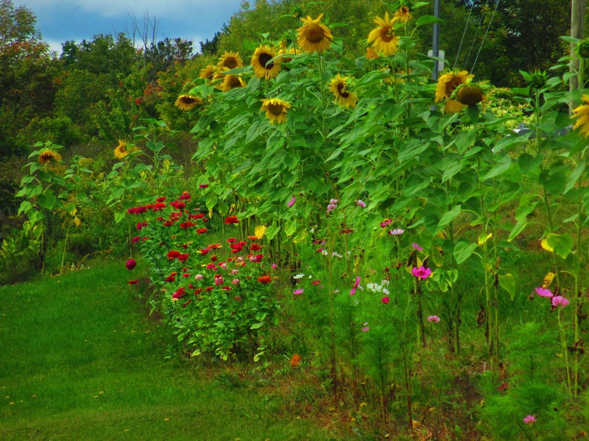 Georgian Garden Ξενοδοχείο Windham Εξωτερικό φωτογραφία